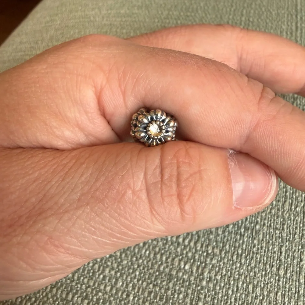 Pandora Sterling Silver Floral Charm with Center Gem - 925 Sterling Silver - Picture 3 of 7